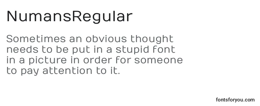 NumansRegular Font