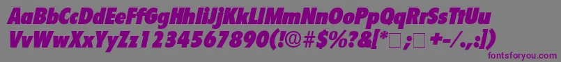 SeighDisplaySsiItalic-fontti – violetit fontit harmaalla taustalla