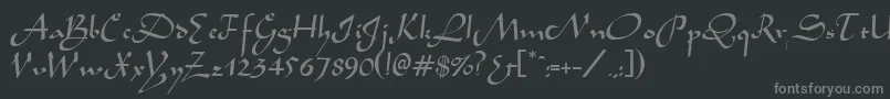 フォントAladdinRegular – 黒い背景に灰色の文字