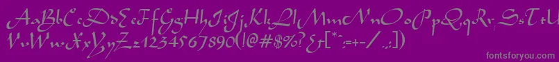 AladdinRegular Font – Gray Fonts on Purple Background