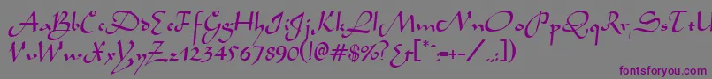 AladdinRegular Font – Purple Fonts on Gray Background