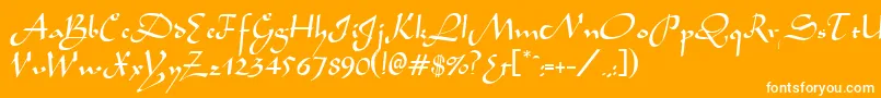 AladdinRegular Font – White Fonts on Orange Background