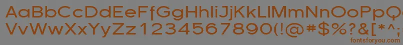フォントFlorsn13 – 茶色の文字が灰色の背景にあります。
