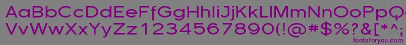 Шрифт Florsn13 – фиолетовые шрифты на сером фоне