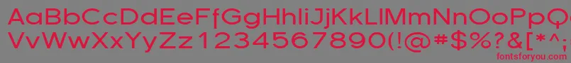 フォントFlorsn13 – 赤い文字の灰色の背景