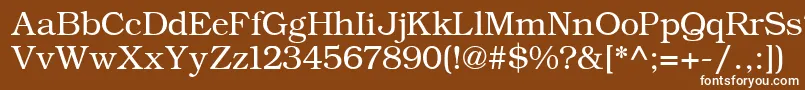 ErBukinistKoi8Normal-Schriftart – Weiße Schriften auf braunem Hintergrund