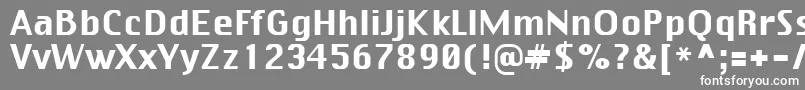 フォントVirtue1 – 灰色の背景に白い文字