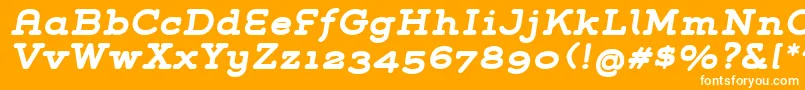 GroverSlabBoldItalic Font – White Fonts on Orange Background