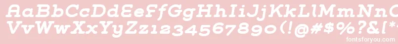 GroverSlabBoldItalic Font – White Fonts on Pink Background