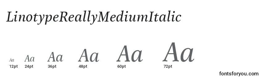 Размеры шрифта LinotypeReallyMediumItalic