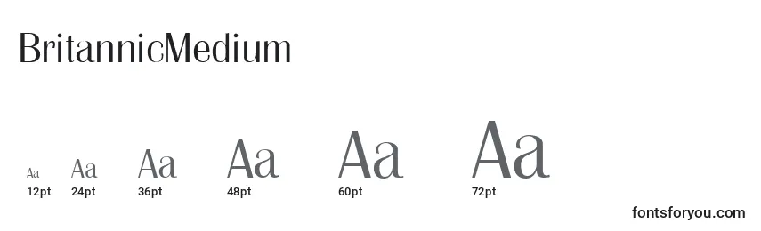 Размеры шрифта BritannicMedium