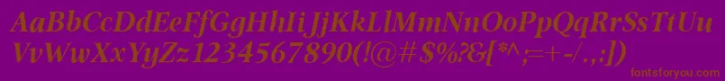 OmnibusBolditalic Font – Brown Fonts on Purple Background