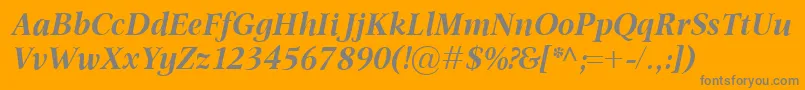 OmnibusBolditalic Font – Gray Fonts on Orange Background