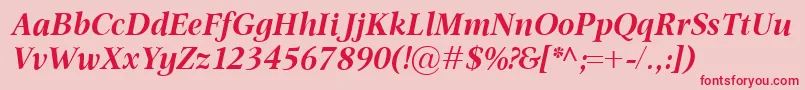 OmnibusBolditalic Font – Red Fonts on Pink Background
