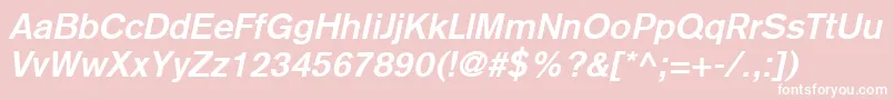 BasiccommercialLtBoldItalic Font – White Fonts on Pink Background