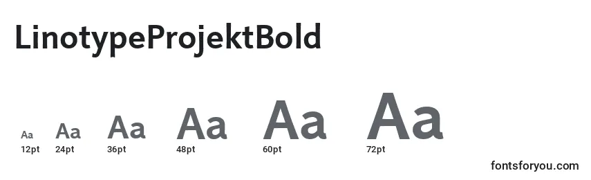 Размеры шрифта LinotypeProjektBold