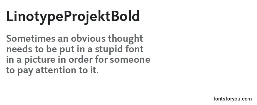 LinotypeProjektBold Font