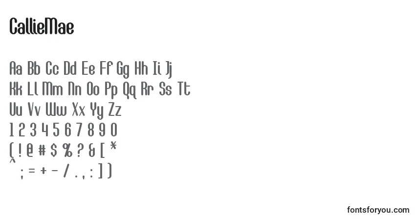 Czcionka CallieMae (30295) – alfabet, cyfry, specjalne znaki