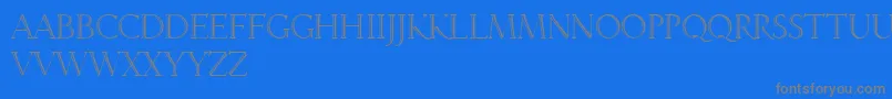 LinotypeveneziaInitiale Font – Gray Fonts on Blue Background