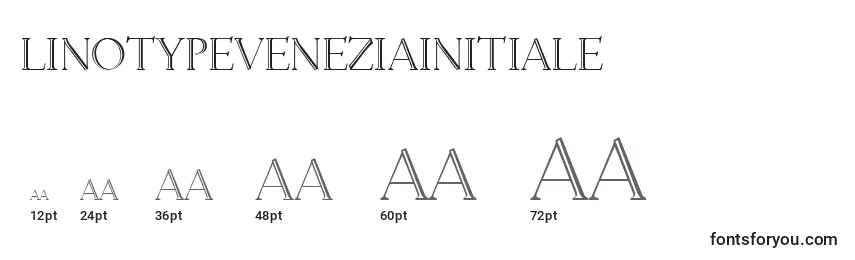 Размеры шрифта LinotypeveneziaInitiale