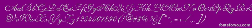 PenTweaksThreeSsi Font – Green Fonts on Purple Background