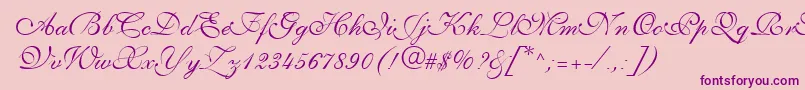 PenTweaksThreeSsi Font – Purple Fonts on Pink Background