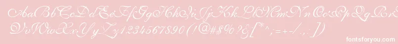 PenTweaksThreeSsi Font – White Fonts on Pink Background