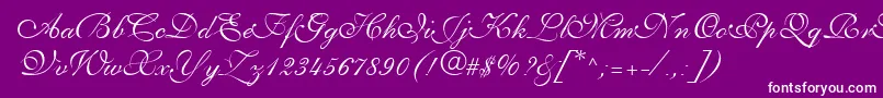 PenTweaksThreeSsi Font – White Fonts on Purple Background