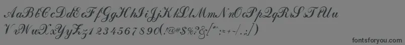 DahlingscriptsskRegular Font – Black Fonts on Gray Background