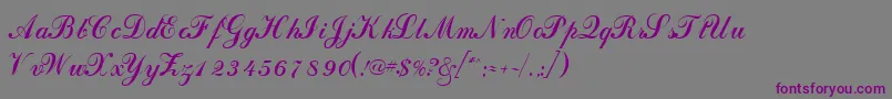 フォントDahlingscriptsskRegular – 紫色のフォント、灰色の背景
