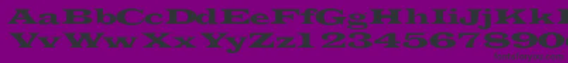 Transverselightssk Font – Black Fonts on Purple Background