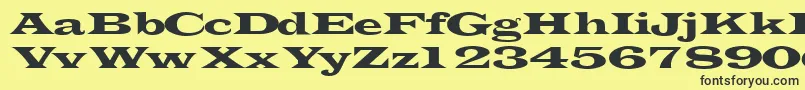 Transverselightssk Font – Black Fonts on Yellow Background