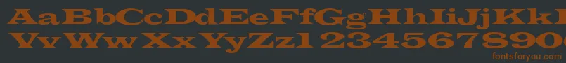 Transverselightssk-fontti – ruskeat fontit mustalla taustalla
