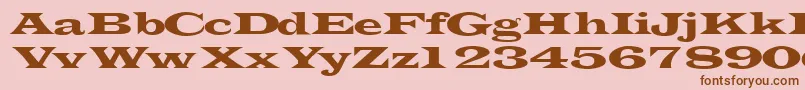 Шрифт Transverselightssk – коричневые шрифты на розовом фоне