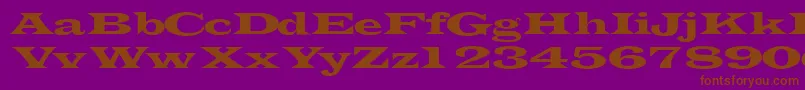 Transverselightssk-fontti – ruskeat fontit violetilla taustalla