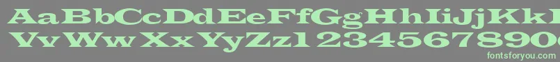 Transverselightssk-fontti – vihreät fontit harmaalla taustalla