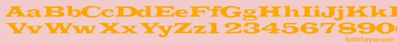 Transverselightssk Font – Orange Fonts on Pink Background