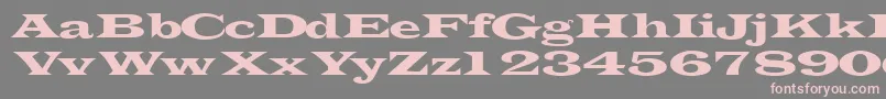 Шрифт Transverselightssk – розовые шрифты на сером фоне