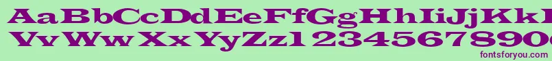 Transverselightssk Font – Purple Fonts on Green Background