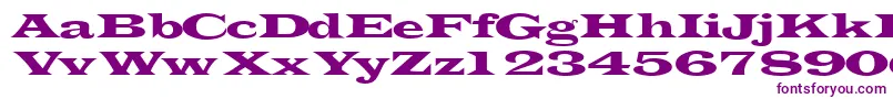 Transverselightssk-fontti – violetit fontit
