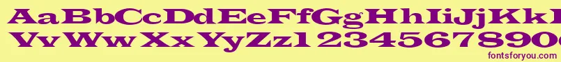 Transverselightssk Font – Purple Fonts on Yellow Background