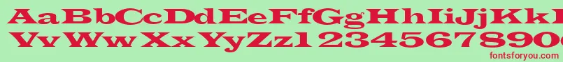 Transverselightssk Font – Red Fonts on Green Background