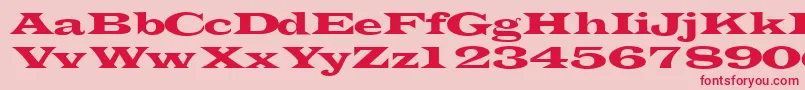Transverselightssk Font – Red Fonts on Pink Background