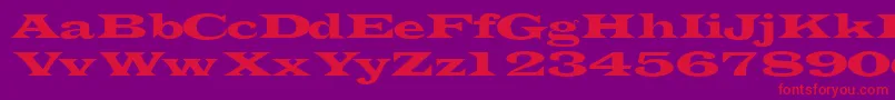 Transverselightssk Font – Red Fonts on Purple Background