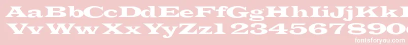 Transverselightssk-fontti – valkoiset fontit vaaleanpunaisella taustalla