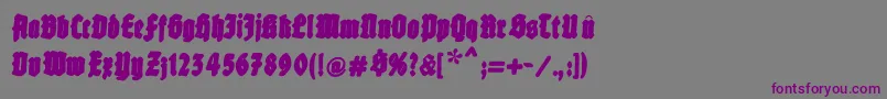 Fatfreefrax-fontti – violetit fontit harmaalla taustalla