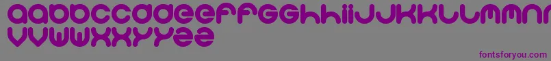 Solgas Font – Purple Fonts on Gray Background