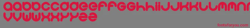 Solgas Font – Red Fonts on Gray Background