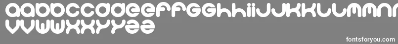 フォントSolgas – 灰色の背景に白い文字