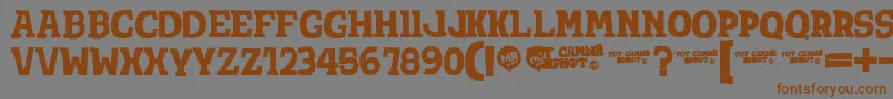 TotShriftBold Font – Brown Fonts on Gray Background